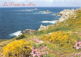 29-LA POINTE DU RAZ-N°4024-D/0159 - La Pointe Du Raz