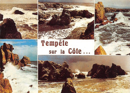 85-TEMPETE SUR LA COTE-N°4024-D/0141 - Other & Unclassified