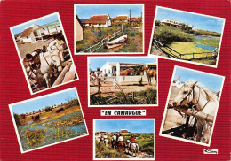 13-EN CAMARGUE-N°4024-D/0023 - Other & Unclassified