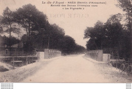 A15-33) ARES (BASSIN D ' ARCACHON) ENTREE DES DUNES LITTORALES VERS LA PIGINIDA -  ( 2 SCANS ) - Arès