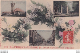 A6-50) DE SAINT PIERRE EGLISE - JE VOUS ENVOIE CES FLEURS - (CARTE FANTAISIE MULTIVUES AVEC FLEURS - 2 SCANS) - Saint Pierre Eglise