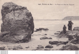 A31-29) POINTE DU RAZ - LA PLAGE ET LA BAIE DES TREPASSES - ( ANIMEE - 2 SCANS ) - La Pointe Du Raz