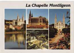 61-LA CHAPELLE MONTLIGEON-N°4025-B/0099 - Other & Unclassified