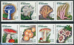 El Salvador 2001 Mushrooms 8v, Mint NH, Nature - Mushrooms - Pilze