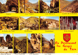 48-GORGES DU TARN-N°4025-B/0073 - Gorges Du Tarn