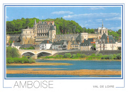 37-AMBOISE-N°4025-A/0333 - Amboise