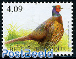 Belgium 2010 Birds, Pheasant 1v, Mint NH, Nature - Birds - Poultry - Ungebraucht