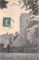 74-CHATEL-LA TOUR ET LES REMPARTS-N 6014-G/0079 - Châtel