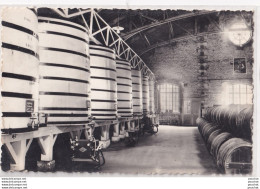 A26-16) COGNAC (CHARENTE) INTERIEUR DE CHAI  - ( 2 SCANS ) - Cognac