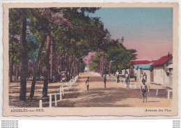 A24-66) ARGELES SUR MER -  AVENUE DES PINS - ( ANIMEE - COLORISEE - 2 SCANS ) - Argeles Sur Mer