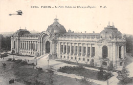 75-PARIS LE PETIT PALAIS DES CHAMPS ELYSEES-N°4026-C/0351 - Autres & Non Classés