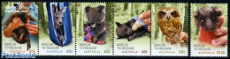 Australia 2010 Animal Protection 6v (1v+[::::]), Mint NH, Nature - Animals (others & Mixed) - Birds - Owls - Neufs