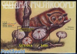 Guyana 2000 Mushrooms S/s, Marasmius Zotula S/s, Mint NH, Nature - Mushrooms - Mushrooms