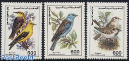 Syria 1991 Birds 3v, Mint NH, Nature - Birds - Syria