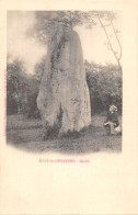 61-SILLY EN GOUFFERN-MENHIR-N 6015-B/0161 - Other & Unclassified