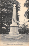 69-SALLES -LE MONUMENT AUX MORTS-N 6015-A/0159 - Sonstige & Ohne Zuordnung