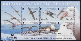 British Antarctica 2005 Birdlife International 6v M/s, Mint NH, Nature - Bird Life Org. - Birds - Autres & Non Classés