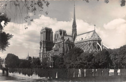 75-PARIS LA CATHEDRALE NOTRE DAME-N°4026-F/0029 - Autres & Non Classés