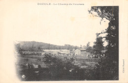 14-DOZULE-LE CHAMP DE COURSES-N 6015-E/0067 - Otros & Sin Clasificación