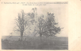 08-ILLY-CYCLONE DU 9 AOUT 19005-N 6015-D/0351 - Andere & Zonder Classificatie