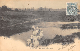 03-VICHY-VACHES A L ABREUVOIR-N T6017-A/0159 - Vichy