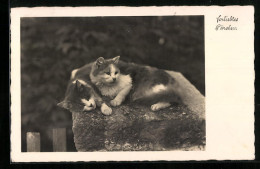 AK Zwei Kuschelnde Katzen Auf Einem Stein  - Chats