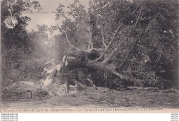 77) LE FEU DANS LA FORET DE FONTAINEBLEAU - LE CLOVIS , DETRUIT PAR L' INCENDIE DES 14 ET 15 AOUT 1904 - ( 2 SCANS ) - Fontainebleau