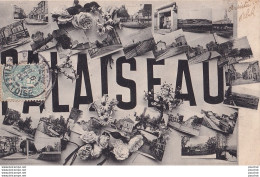 O9-91) PALAISEAU - ( LETTRES ALPHABET MULTIVUES ) - Palaiseau