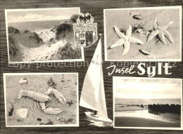 72250816 Insel Sylt Duenen Seestern Languste Segelboot Wappen Westerland - Sonstige & Ohne Zuordnung