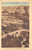 12-BOZOULS-LE PONT DANS LES GORGES DU DOURDOU-N T6018-B/0187 - Bozouls