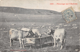 12-L AUBRAC-VACHES AU PATURAGE-N T6017-H/0387 - Autres & Non Classés