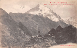 65-LES PYRENEES-N°4028-D/0355 - Other & Unclassified