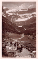 65-GAVARNIE-N°4028-D/0189 - Gavarnie