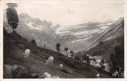 65-GAVARNIE-N°4028-D/0191 - Gavarnie