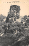 12-LA SALVETAT PEYRALES-CHÂTEAU DE PEYROLLES-N T6018-C/0041 - Sonstige & Ohne Zuordnung