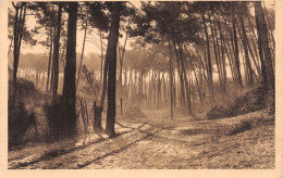 33-ARCACHON-N°4028-H/0281 - Arcachon