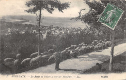 14-HOULGATE-BERGER ET SES MOUTONS-ROUTE DE VILLERS-N T6018-F/0137 - Houlgate