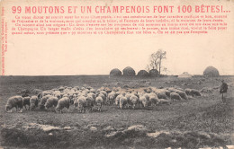 51-LA CHAMPAGNE-N°4029-H/0265 - Other & Unclassified