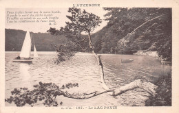 63-LE LAC PAVIN-N°4029-G/0117 - Sonstige & Ohne Zuordnung