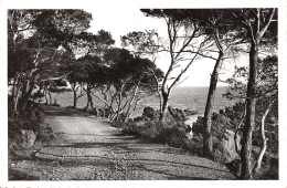 83-LA COTE D AZUR-N°4030-C/0169 - Other & Unclassified