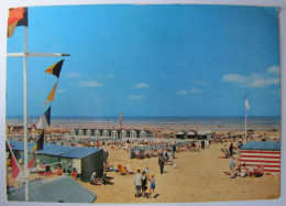 BELGIQUE - FLANDRE OCCIDENTALE - DE PANNE (LA PANNE) - La Plage - De Panne