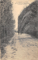 19-BEAULIEU SUR DORDOGNE-ATTELAGE AU ROCHER DE CARBE-N T6019-D/0367 - Autres & Non Classés