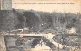 21-CHATILLON SUR SEINE-PROMENADE DE LA DOUIX-N T6019-G/0369 - Chatillon Sur Seine