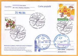 2024 Moldova  Special Postmark „World Bee Day”,Insects, Honeybees - Moldavie