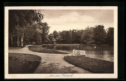 AK Bad Bentheim /Prov. Hann., Aus Dem Kurpark  - Bentheim