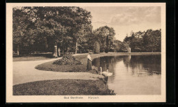 AK Bad Bentheim, Kurpark  - Bentheim