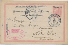 1901 Nach Neu-Ulm, Levante - Levant Autrichien