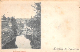 25-REMONOT-LE DOUBS-N T6020-G/0271 - Autres & Non Classés