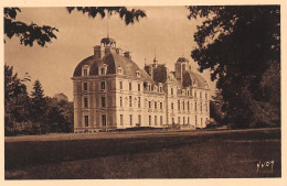 41-CHEVERNY LE CHATEAU-N°4032-A/0333 - Cheverny