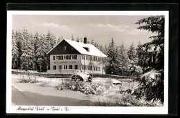 AK Warmensteinach-Fleckl I. Fi., Berggasthof Fleckl Im Schnee  - Autres & Non Classés